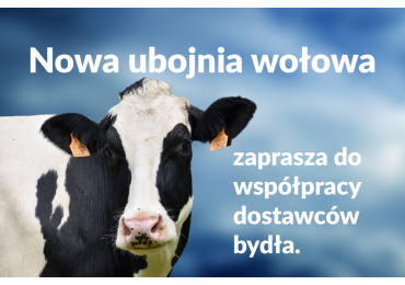 Skup bydła - Food Service