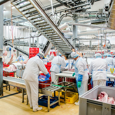 Zakłady Food Service na zdjęciach - Food Service