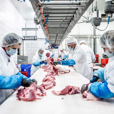 Zakłady Food Service na zdjęciach - Food Service